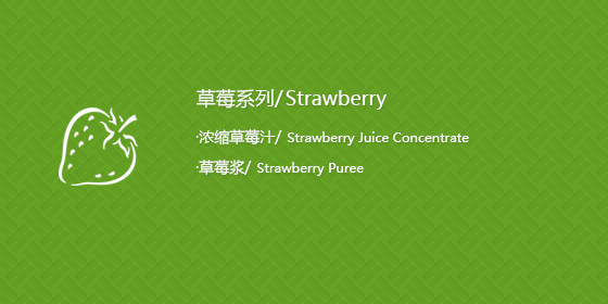 超聲經(jīng)顱多普勒血流分析儀